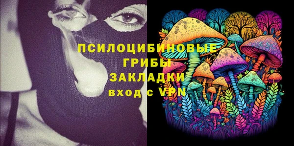 соль ск Приозерск